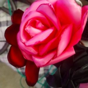 Satin forever rose:s